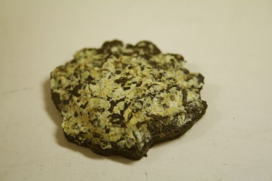 morepic-2