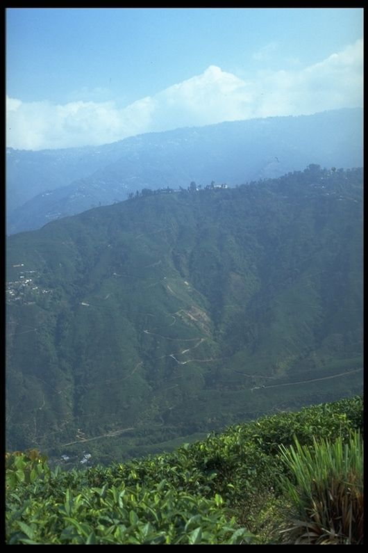 morepic-2