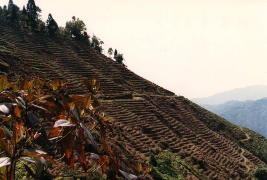 morepic-2