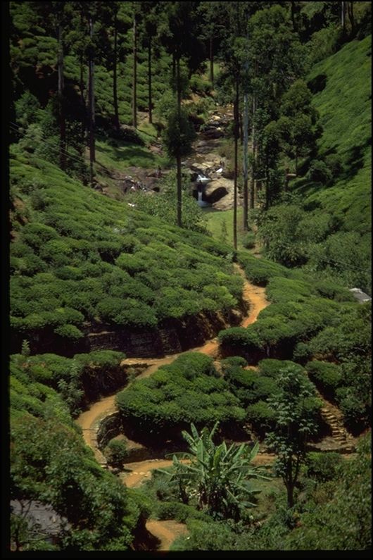 morepic-2